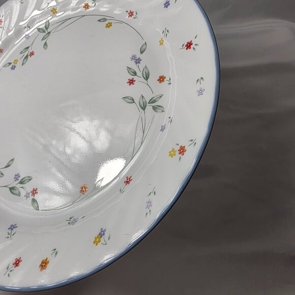 Corelle English Meadow Dinner Plate White Swirl Rim Blue Trim Multicolor Floral - Picture 13 of 14